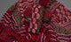 Burgundy Pasely Print Cotton Suit Set Material