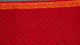 Red Napthol Pan Block Print Cotton Salwar Suit Set Material
