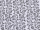 Black Pam Tree Block Butta Salwar Suit Material
