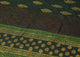 Dark Green Block Butti Printed Cotton Unstitched Salwar Suit