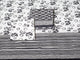 Black & White Tree Block Butti Print Cotton Unstitched Dress Material