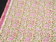 Coral Pasely Jaal Block Print Cotton Salwar Suit Set Material